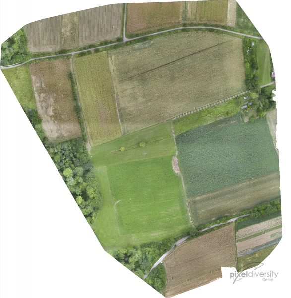 Orthomosaic aus etwa 400 zusammengesetzten Drohnenfotos. Eine gute Grundlage zur Habitat- und Landnutzungsanalyse. © Luftpixel.com
